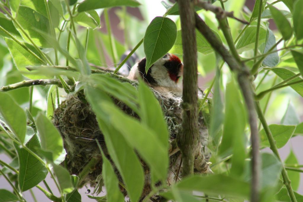 Hostellerie Les Griffons Brantome en Perigord Exterior foto